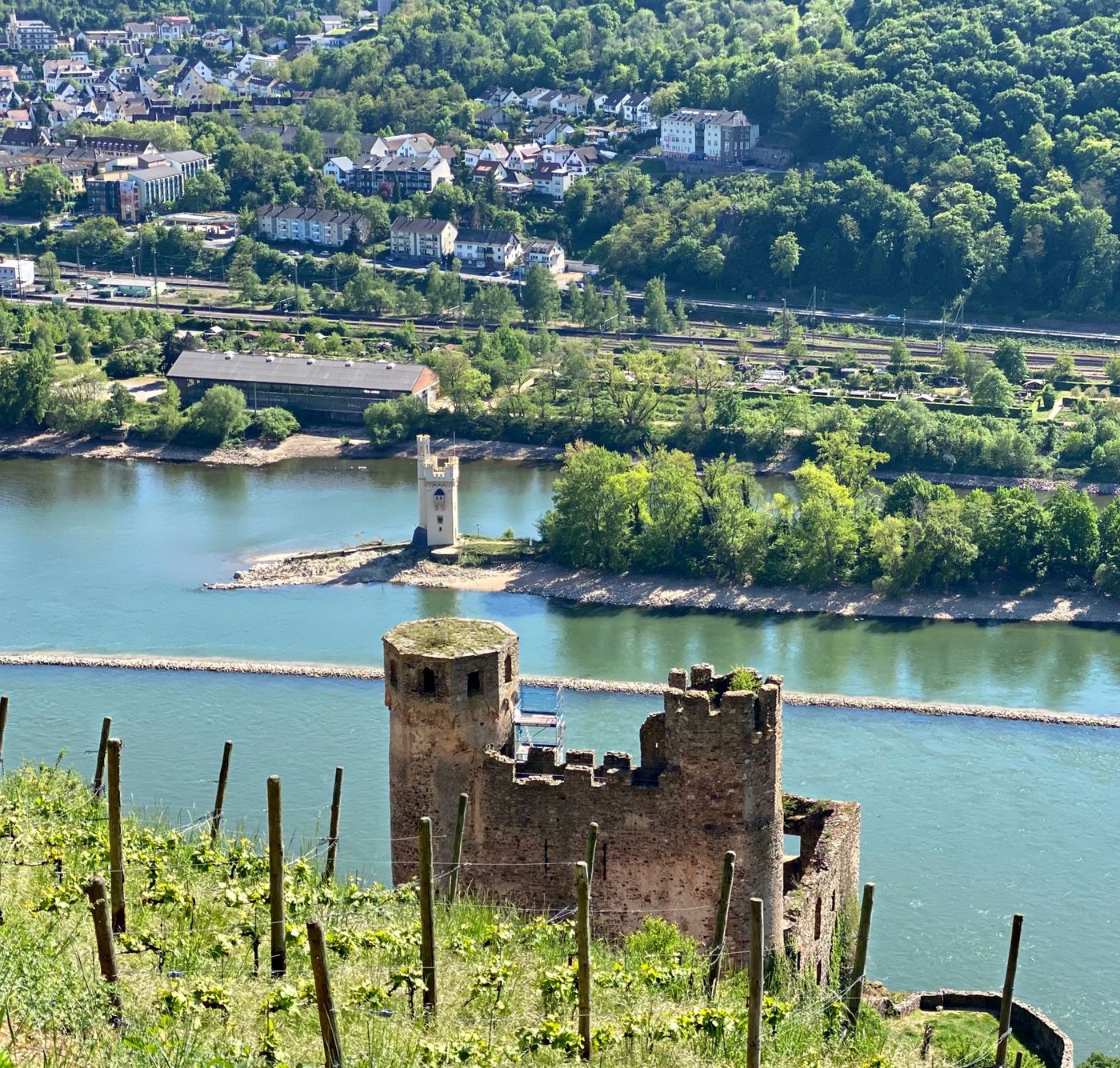 A photo of Riesling Wine Tasting Tour in Rheingau
