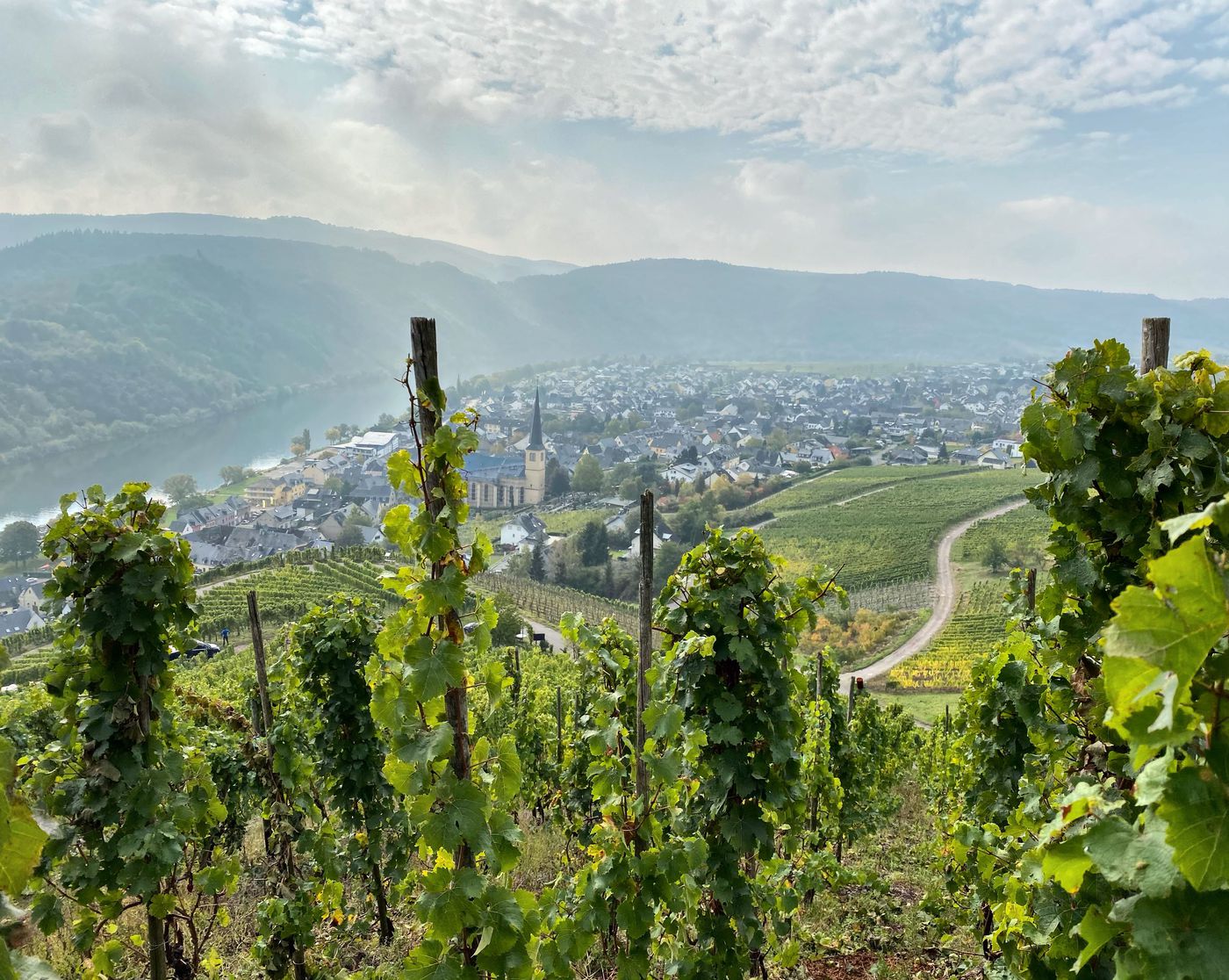 A photo of Grape Escape Mosel Valley from Frankfurt