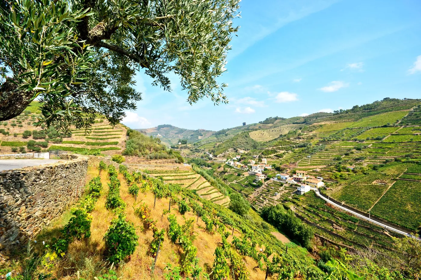 Wine Tasting and River Cruise in the Douro Valley