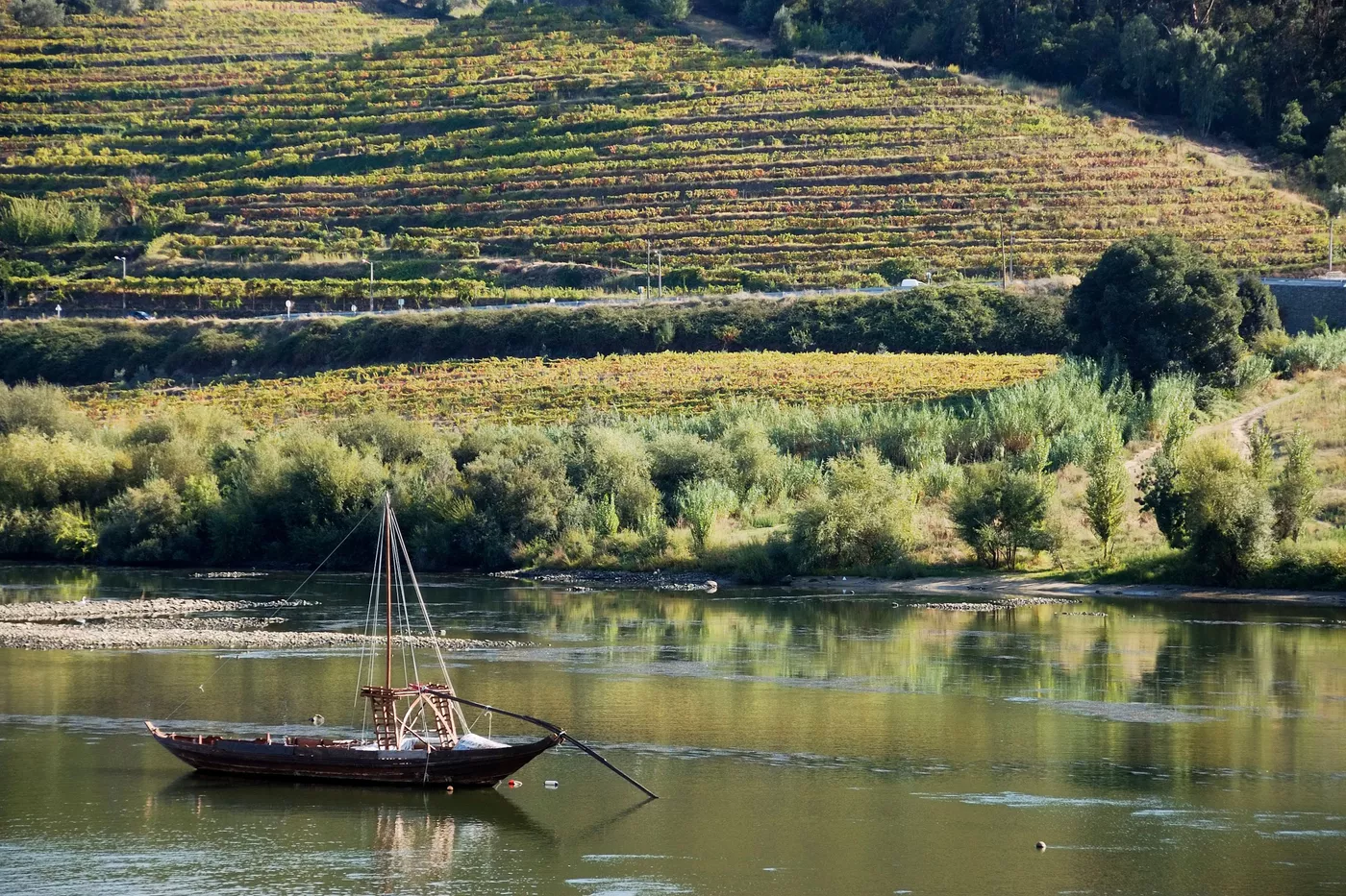 Douro Valley Wine Tasting Tour