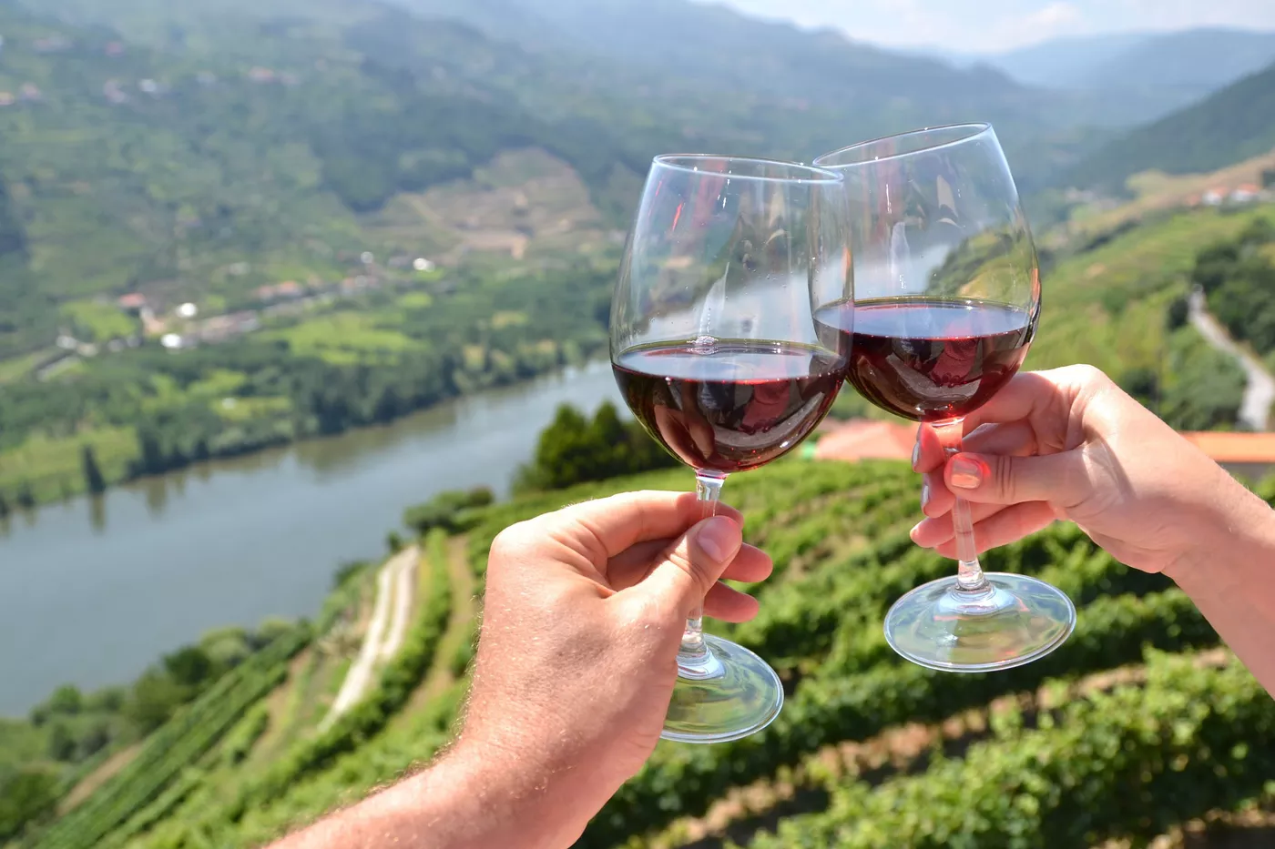 Douro Valley Wine Tasting Tour