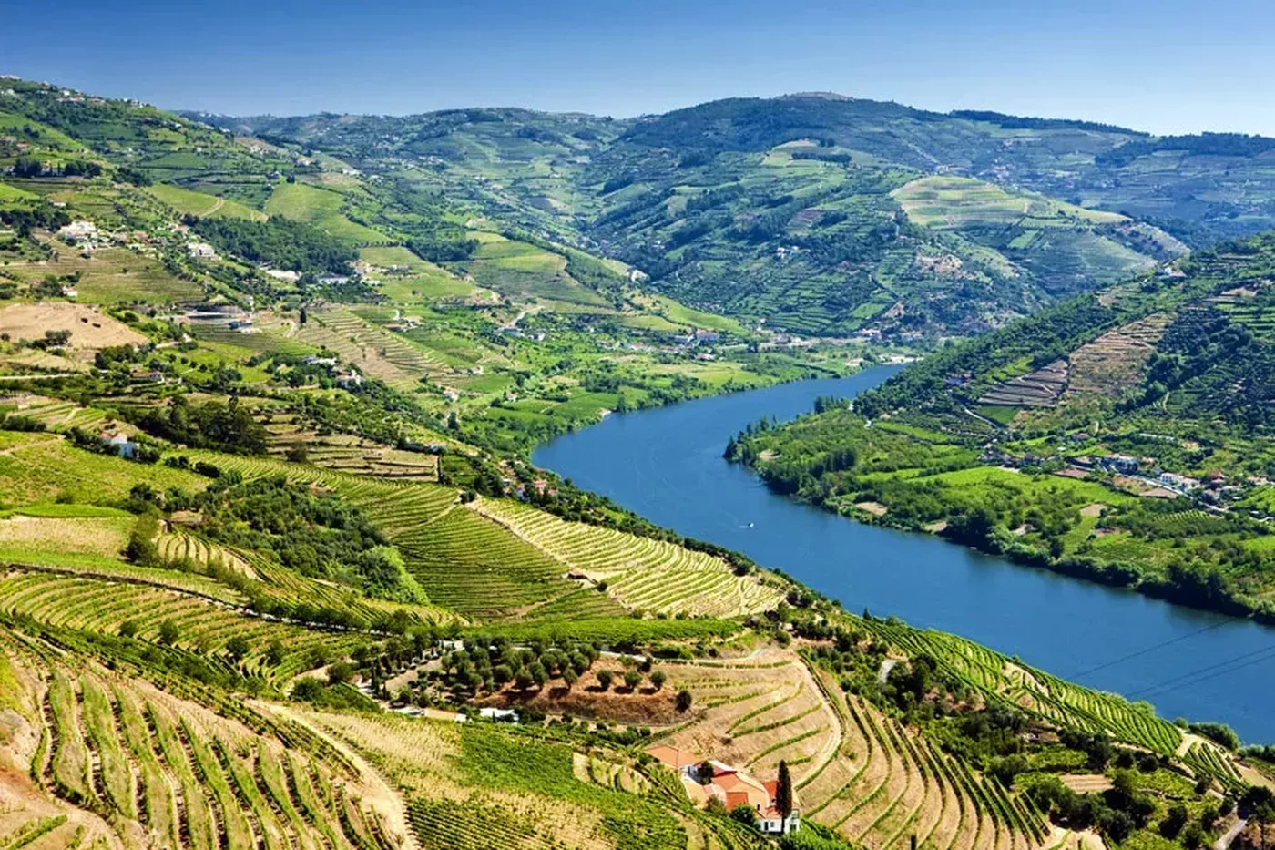 Douro Valley Wine Tasting Tour