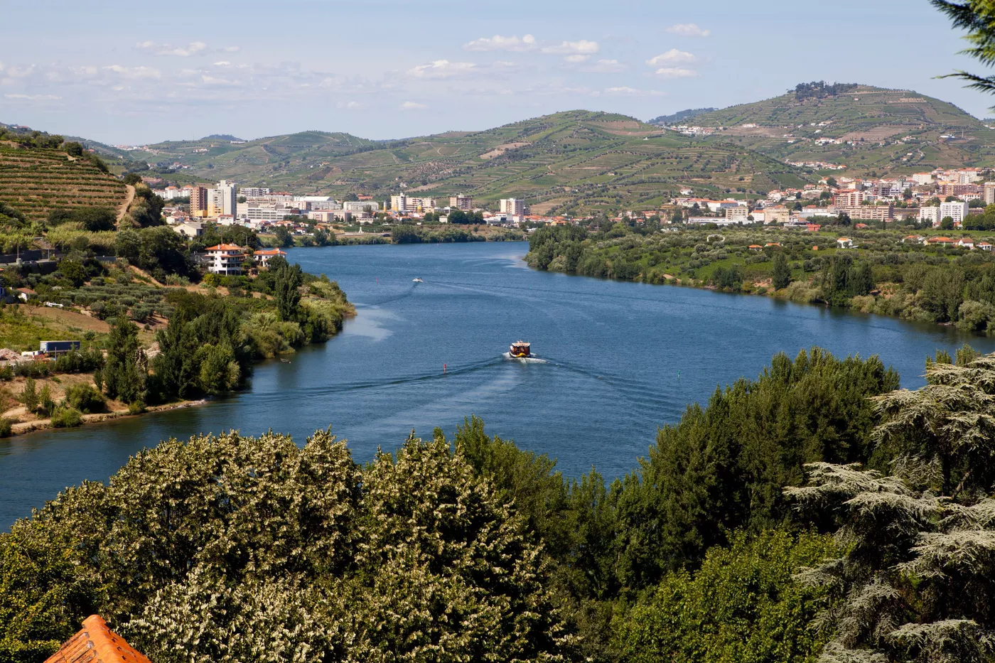 Douro Valley Wine Tasting Tour