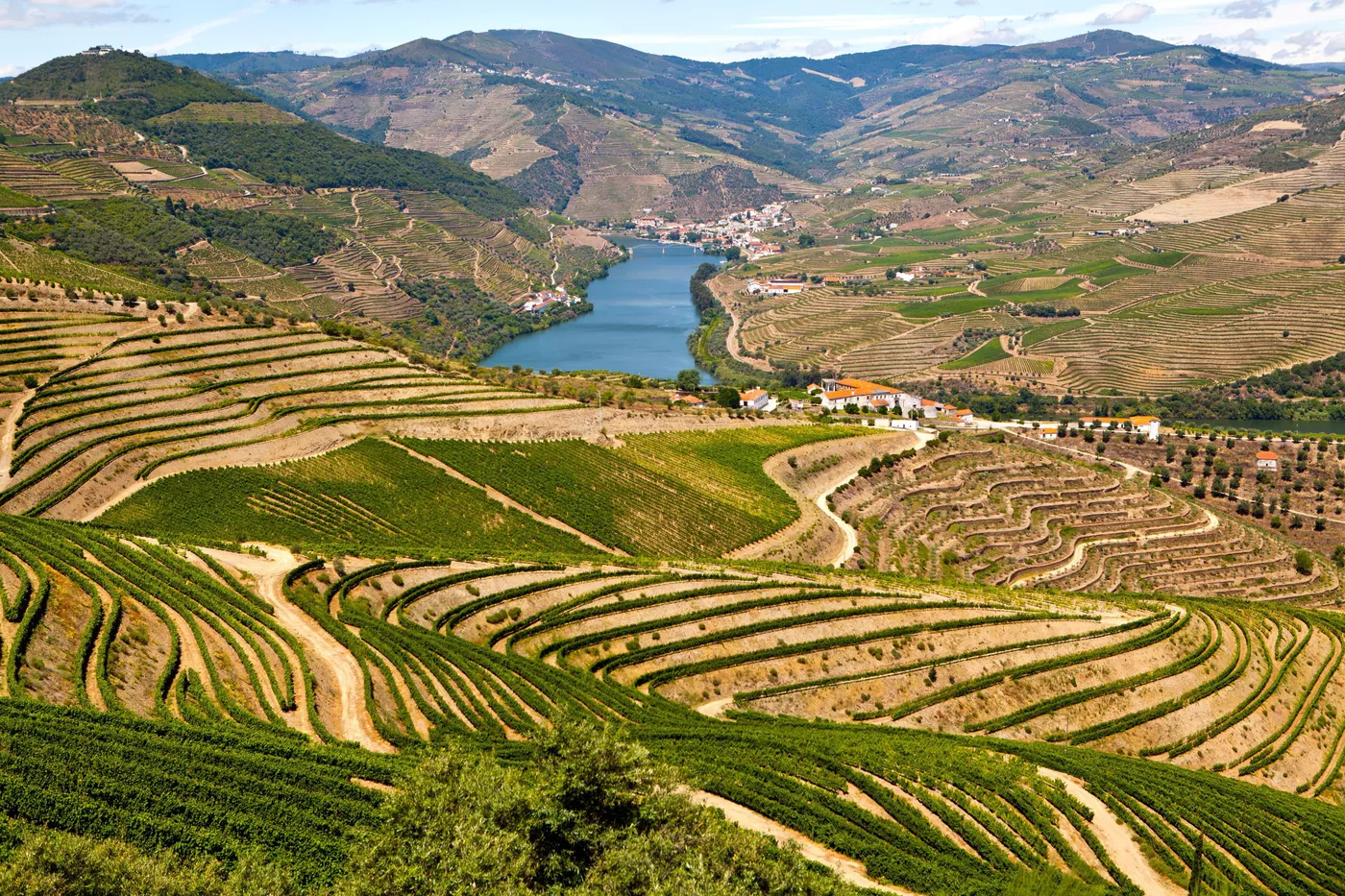 Douro Valley Full-Day Wine Tour