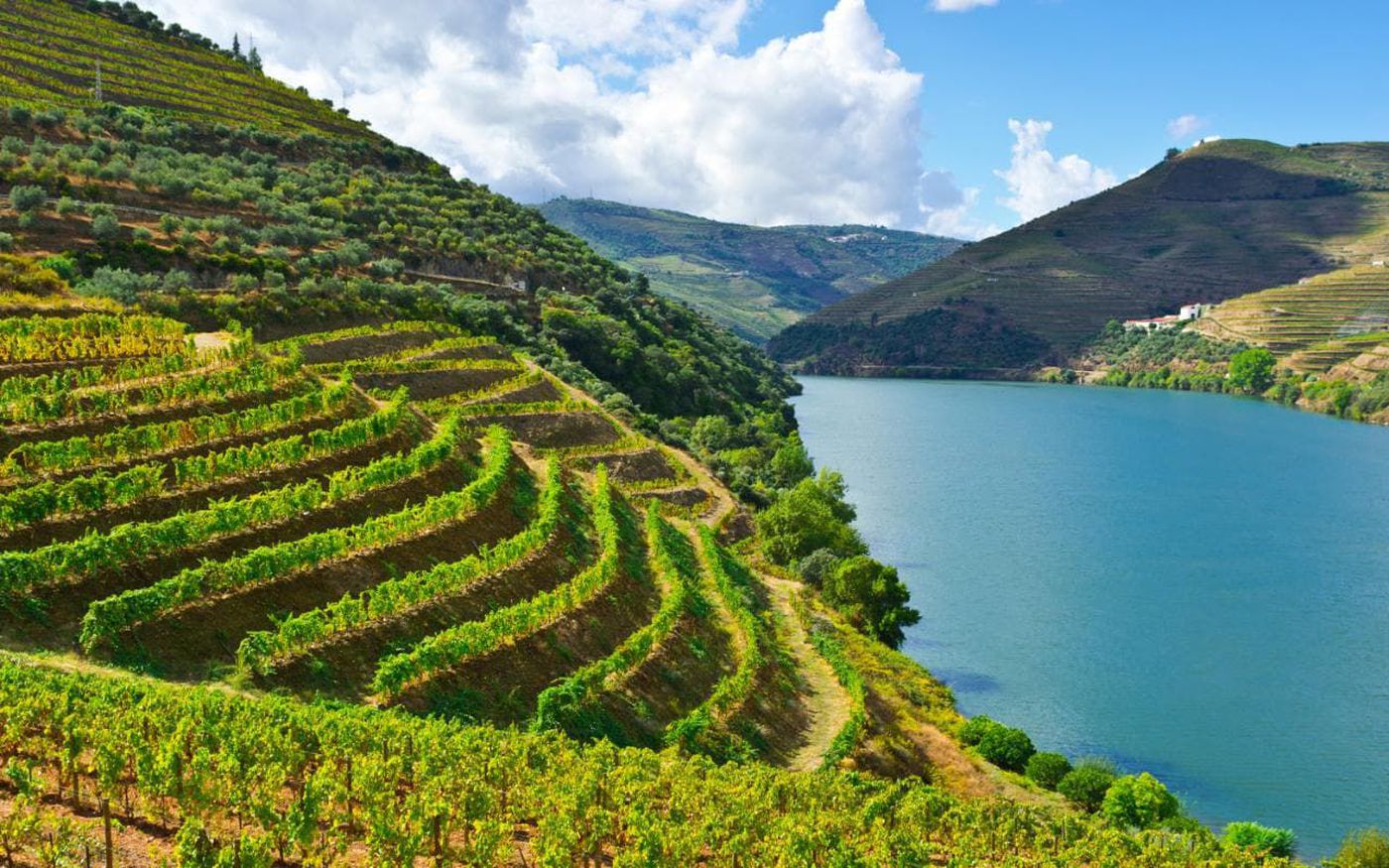 Douro Valley Full-Day Wine Tour