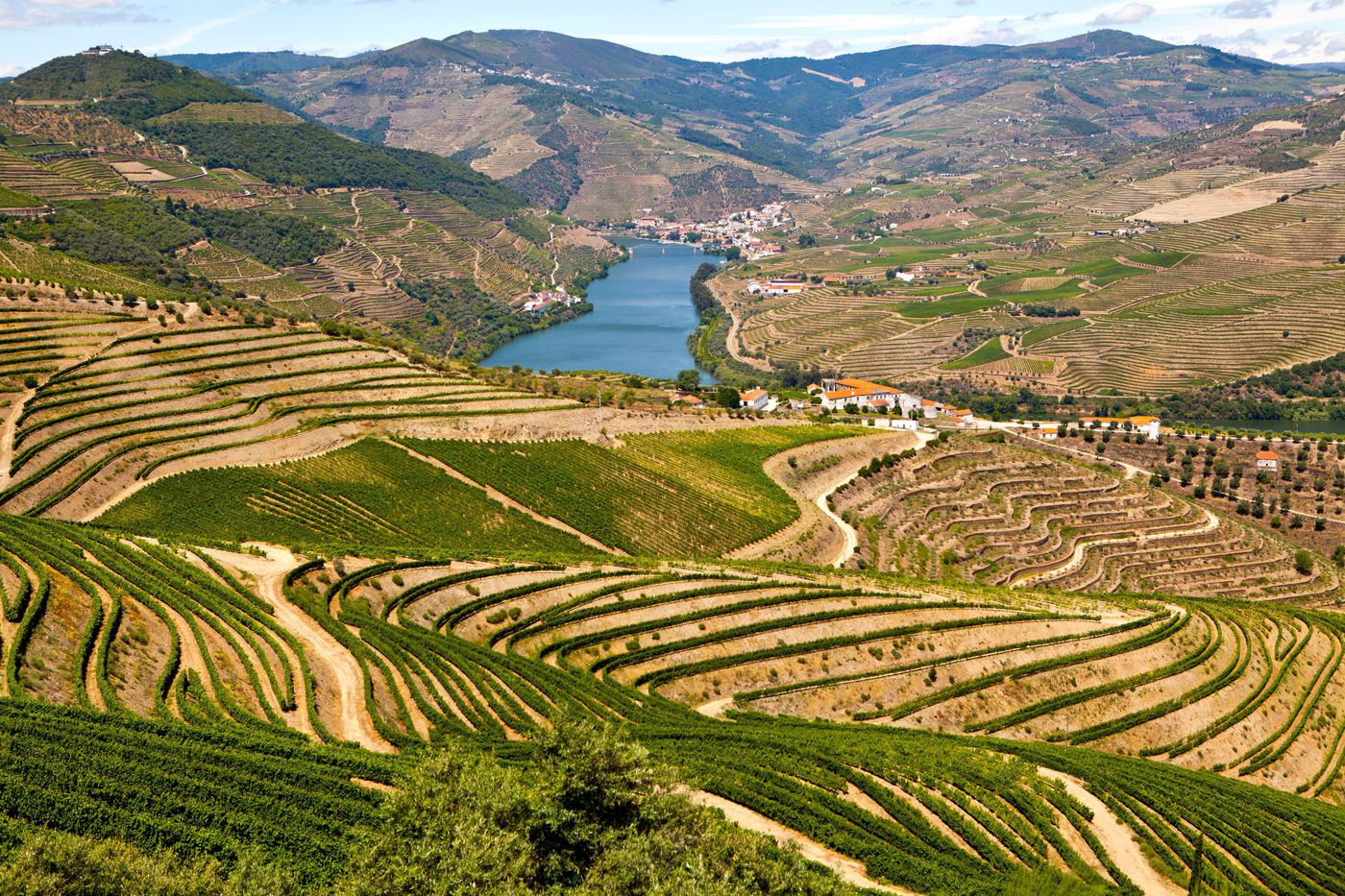 Private Douro Valley Wine Tasting Tour