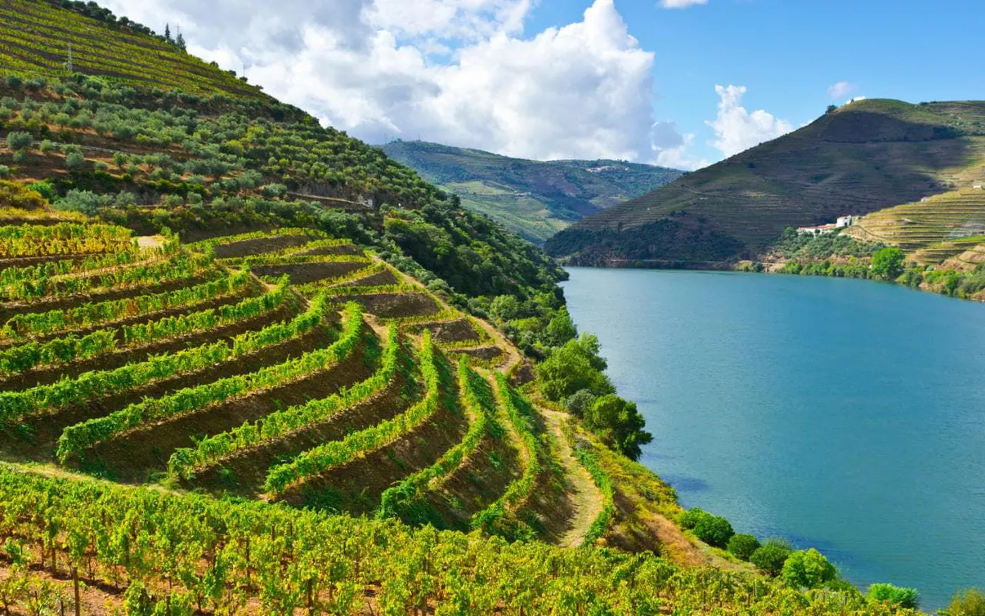 Private Douro Valley Wine Tasting Tour