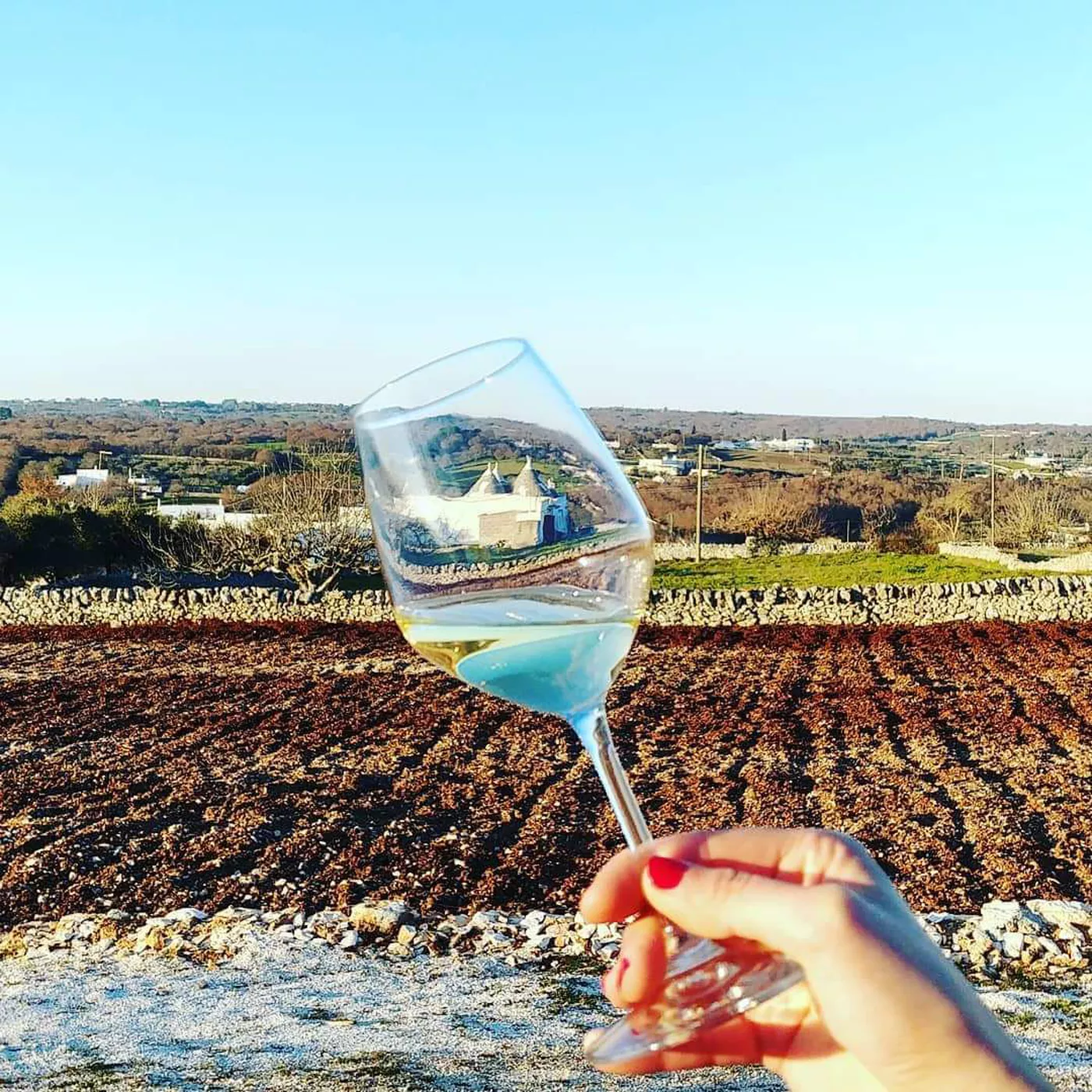 A photo of Alberobello and Locorotondo Wine Tour
