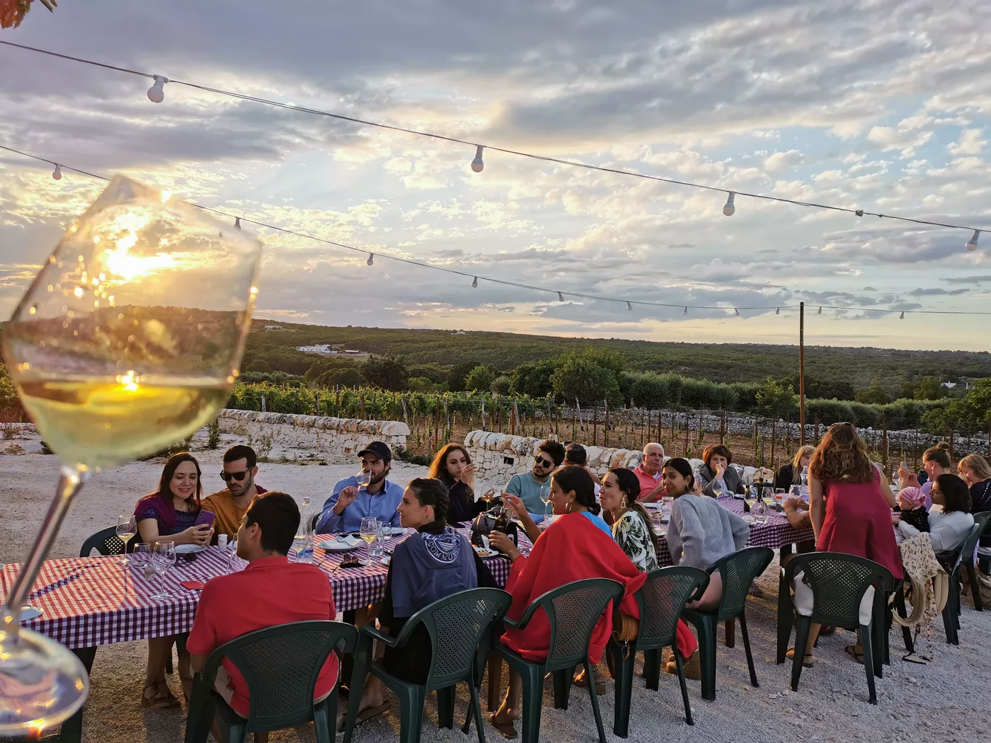 A photo of Vineyard tour with wine tasting