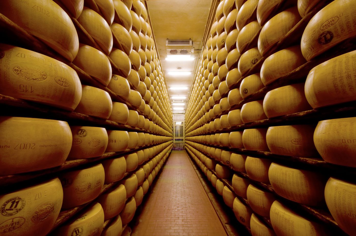 Parmigiano Reggiano ageing cellar