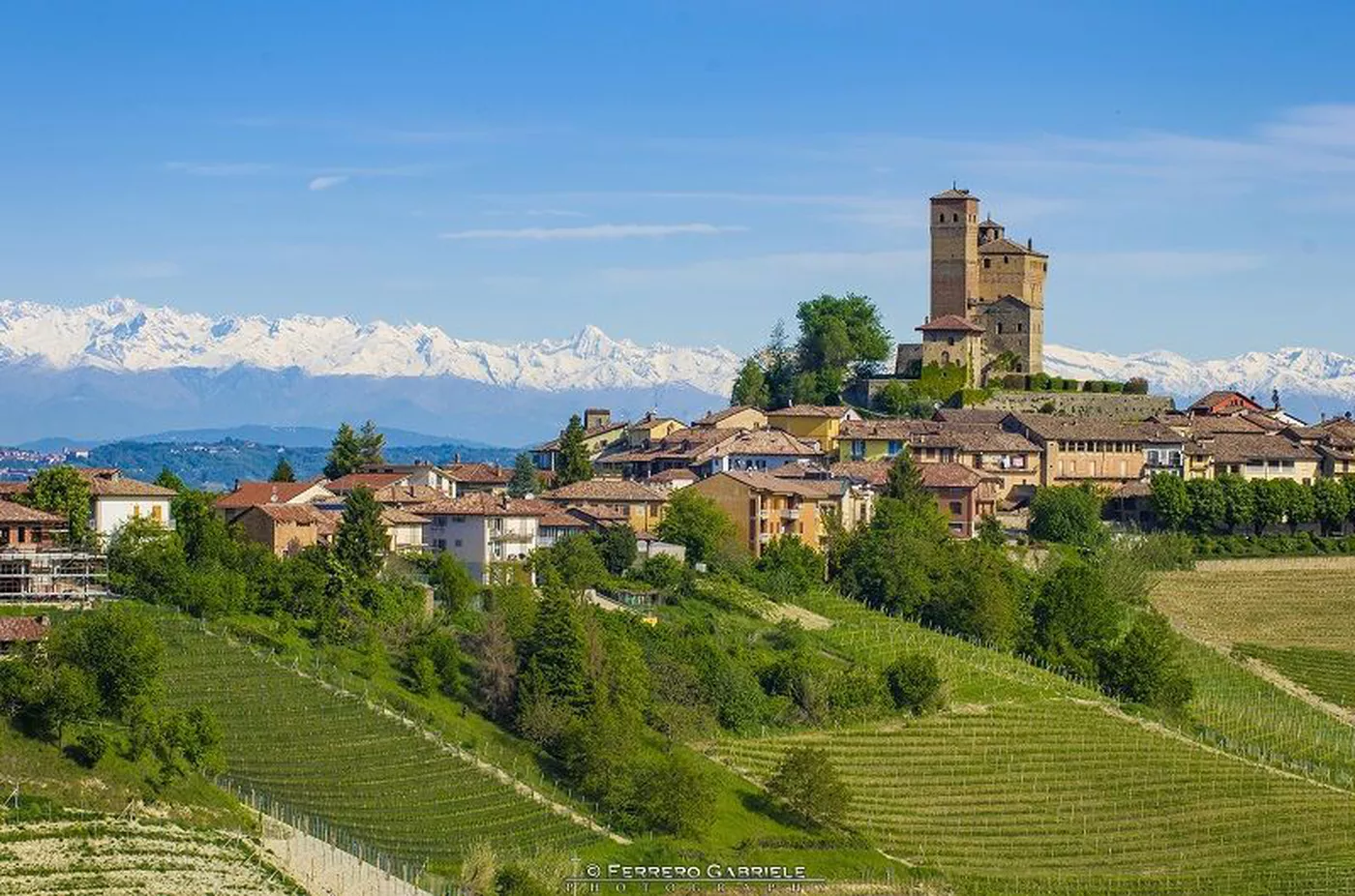 Barolo wine tour