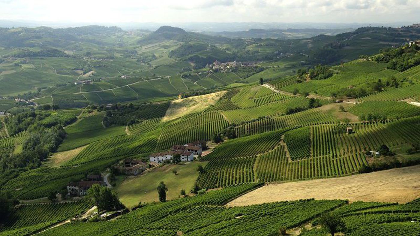 A photo of Barolo and Barbaresco Premium Wine Tour from Alba, Piedmont