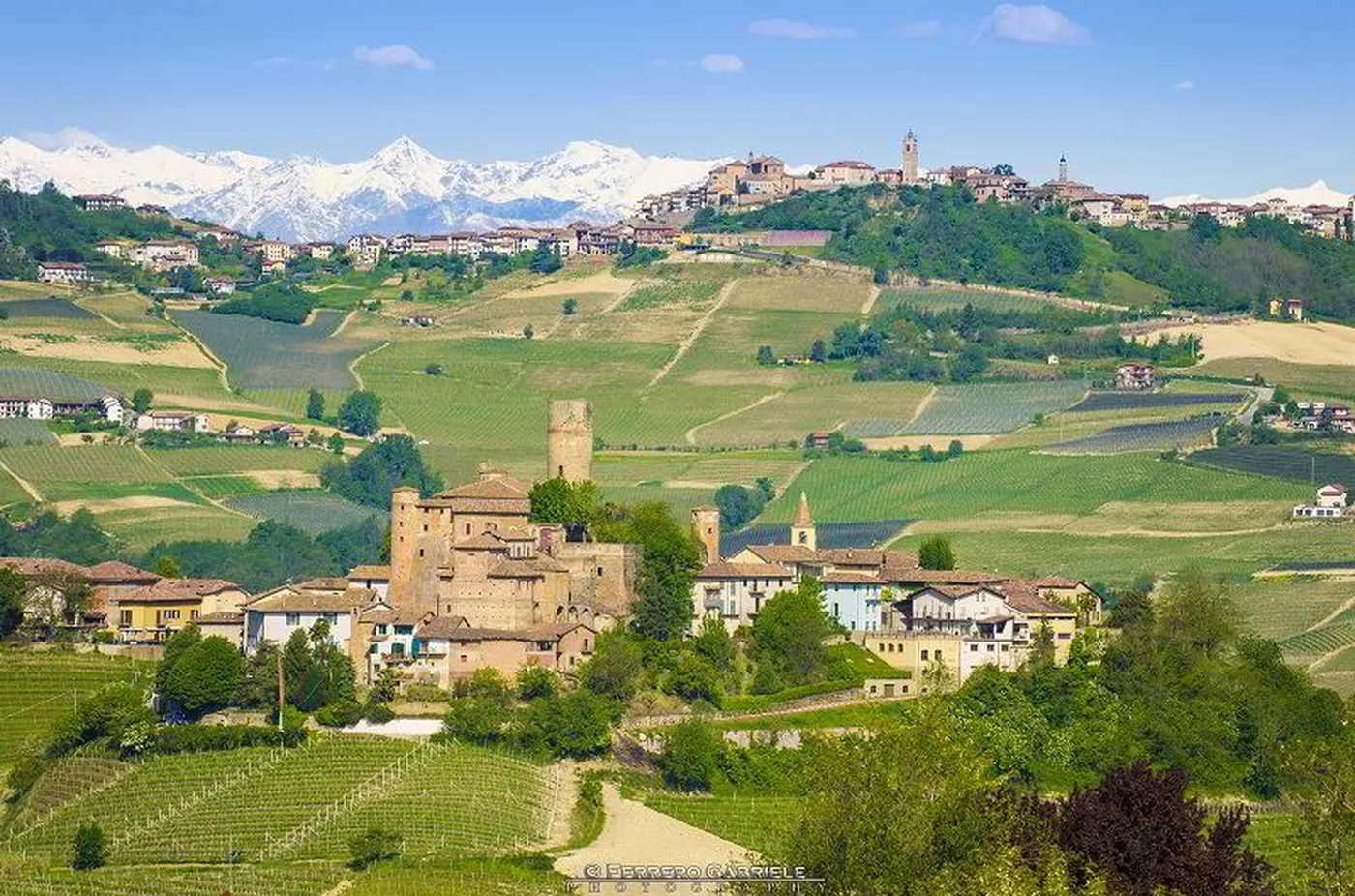 Barolo and Barbaresco day tour