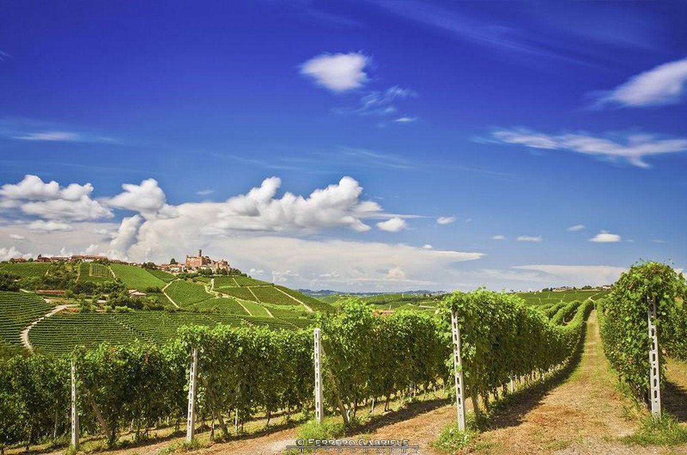 Trekking in Barolo wine region with lunch