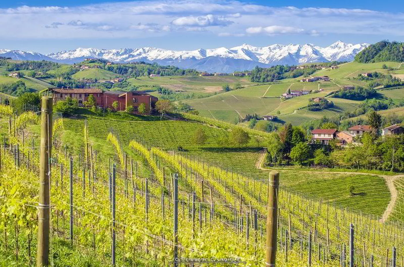 Trekking in Barbaresco with wine tasting