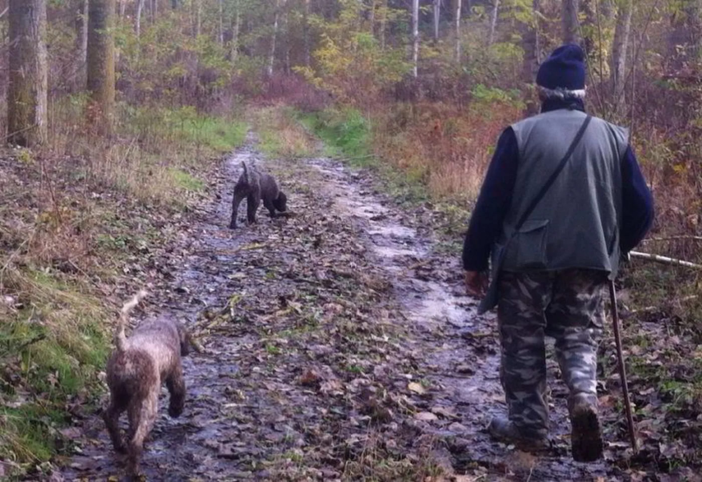 Truffle hunting from Turin