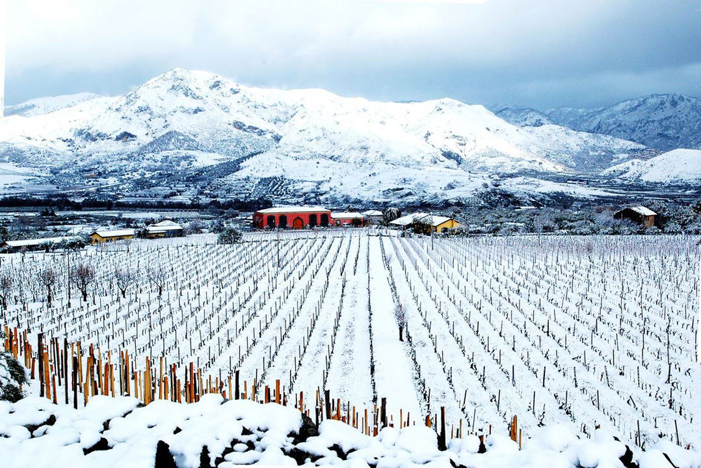 A photo of Multi-faceted Etna Bianco