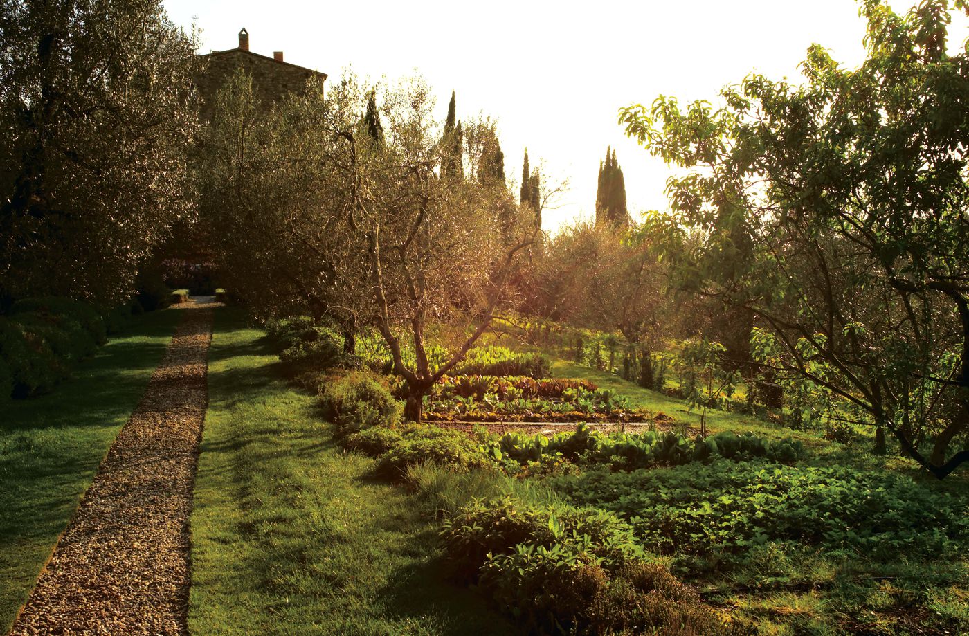 Vegetable garden