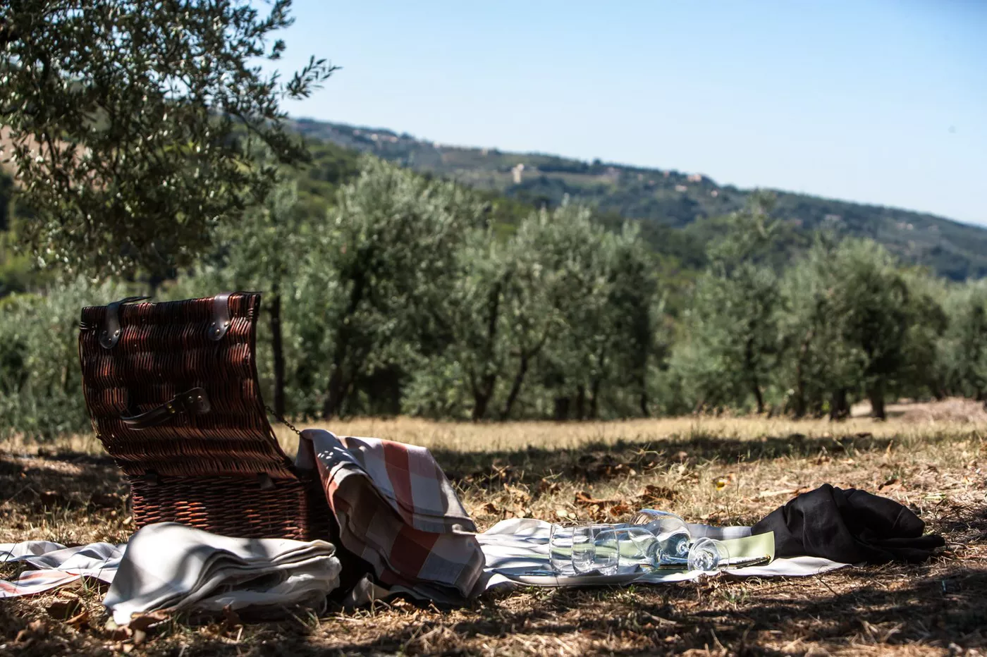 A photo of Hiking and Picnic Private Wine Tour in the Chianti Hills from Florence