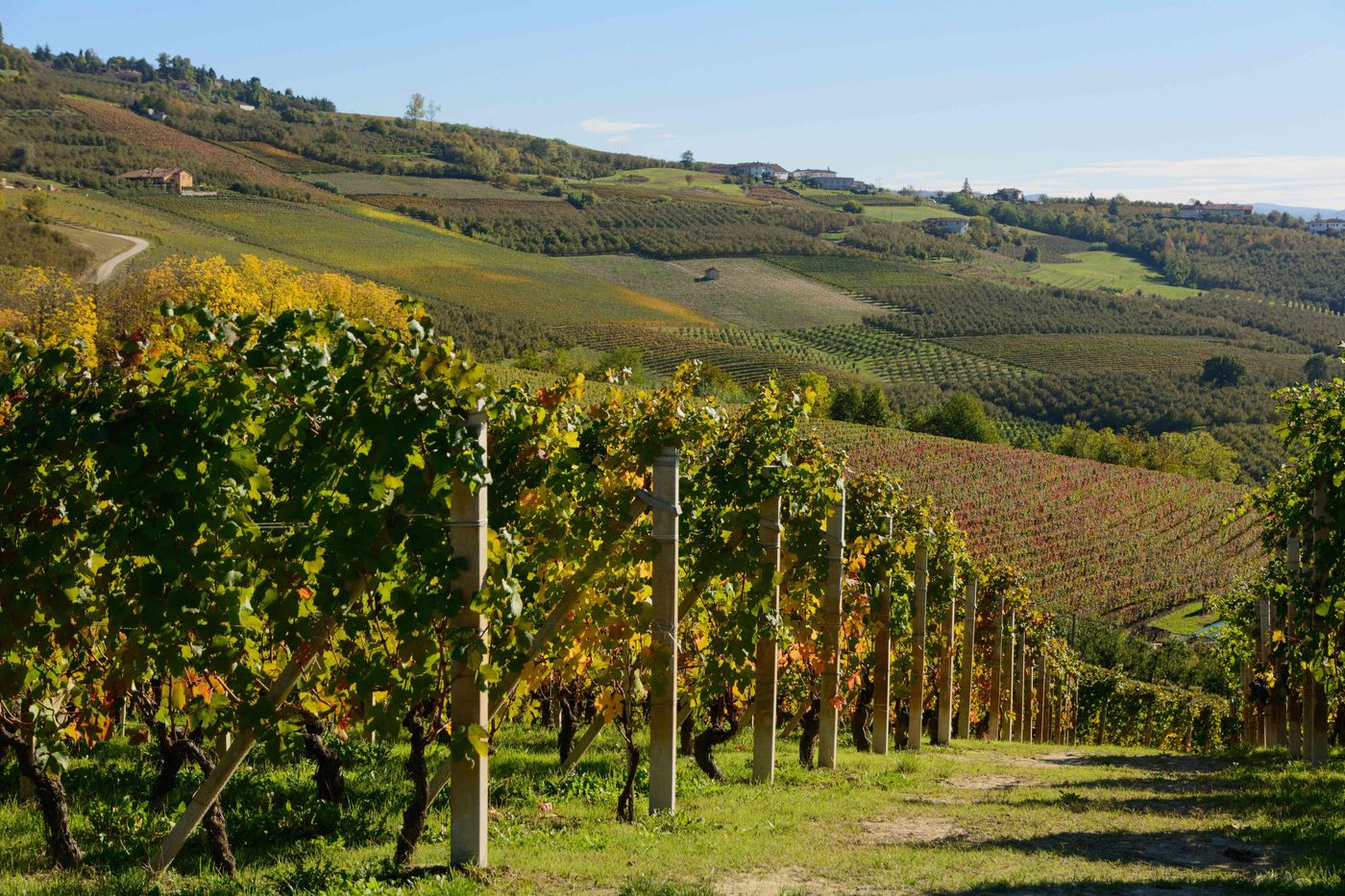 Tuscany E-bike Wine Tasting Tour from Florence