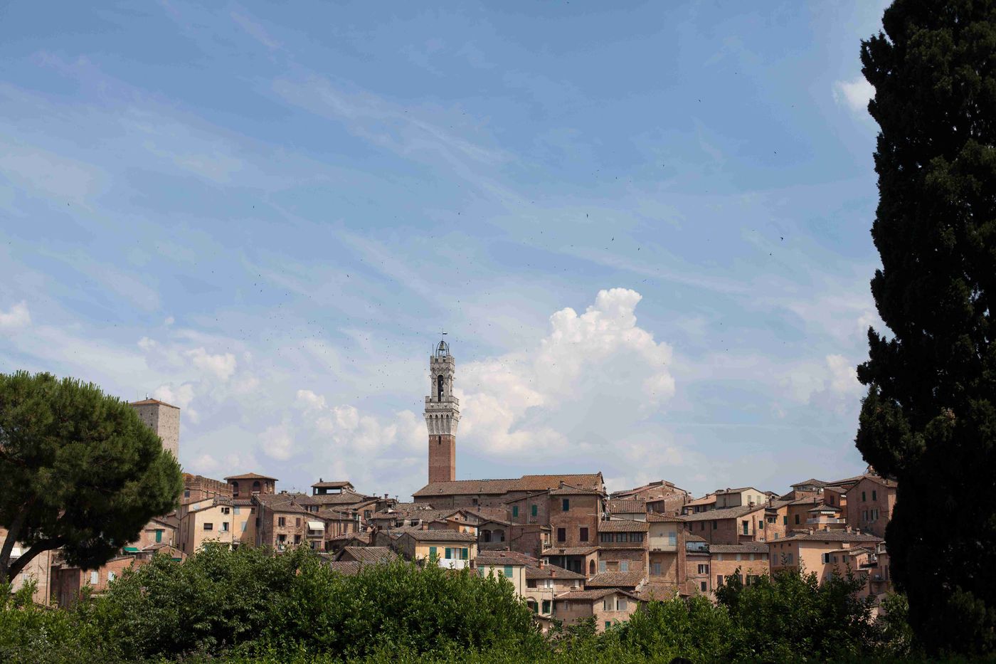 A photo of Siena and San Gimignano tour with dinner at a boutique winery from Florence