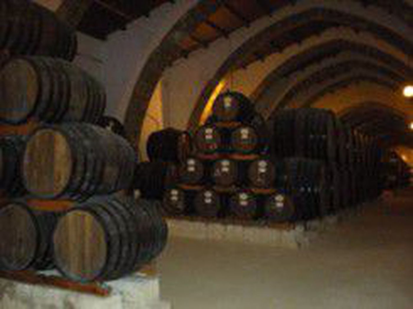 A photo of MARSALA & WINE TASTING AT A FAMOUS CELLAR