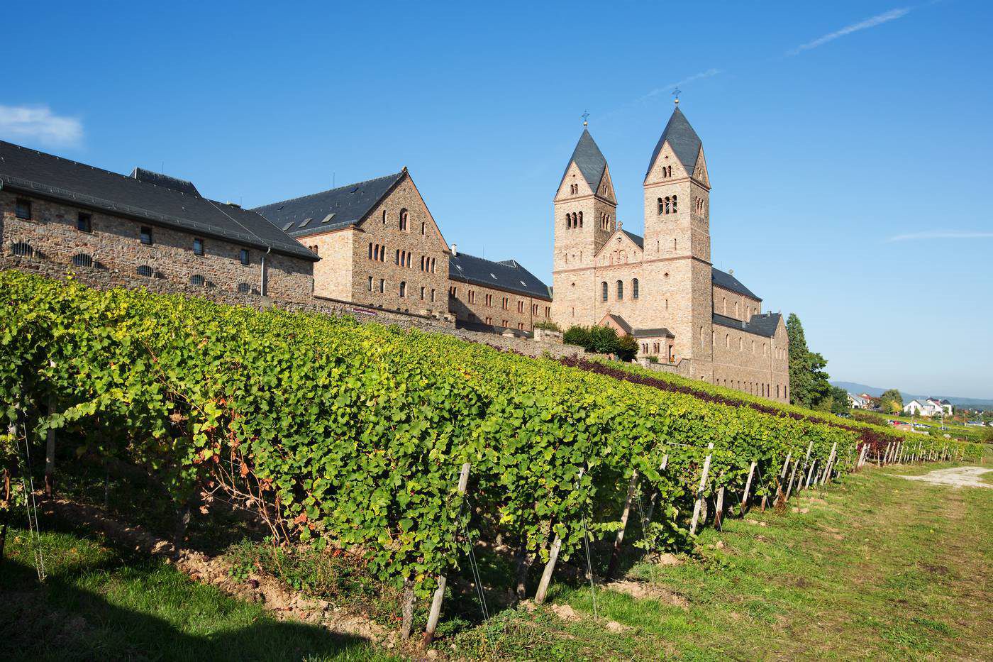 A photo of Rheingau Wine Tasting Tour in Rüdesheim from Frankfurt