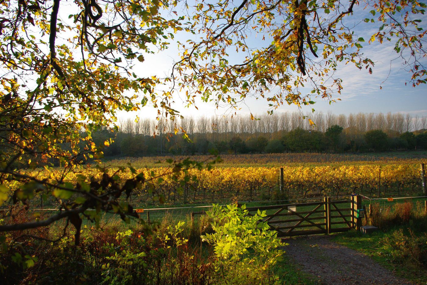 A photo of Sussex Award-Winning Winery and Wine Tasting Tour