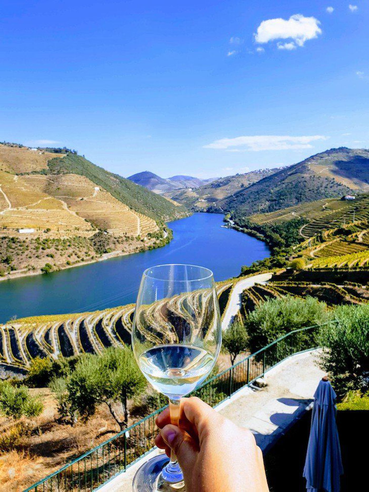 Celebrate Douro Wines