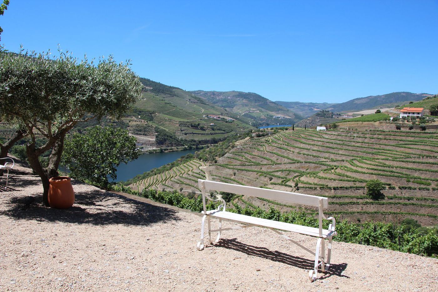 A photo of Full-Day Exclusive Port Wine Experience in the Douro Valley from Porto