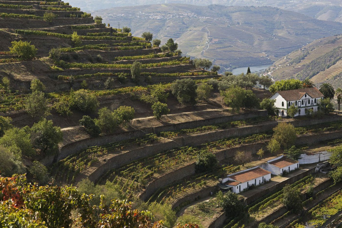 A photo of 4-Day Wine Escape to the Douro Valley from Porto