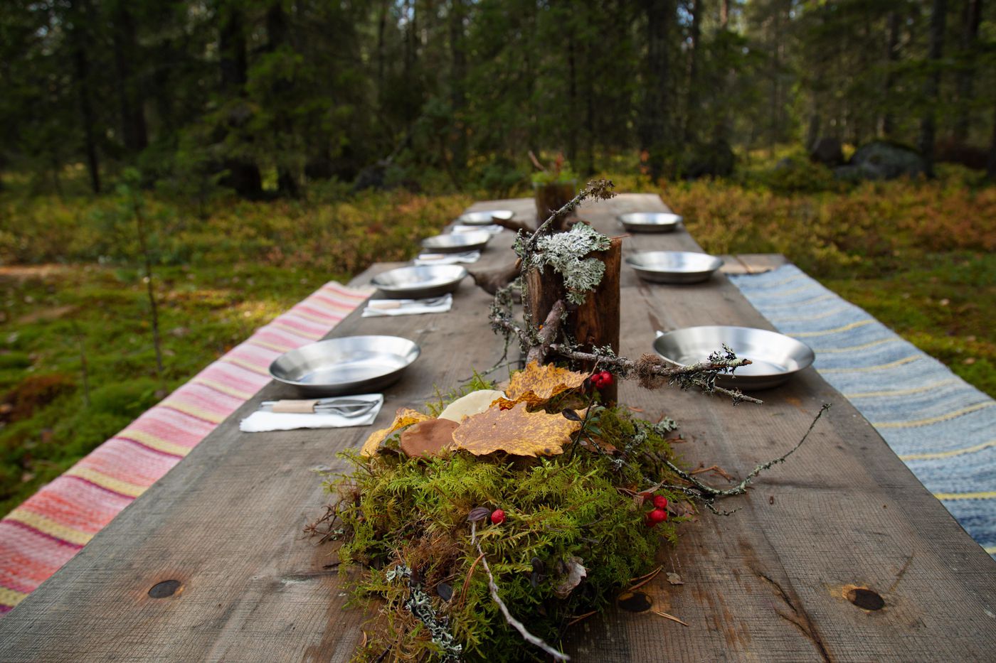 A photo of Unique Sami Food Experience in Swedish Lapland