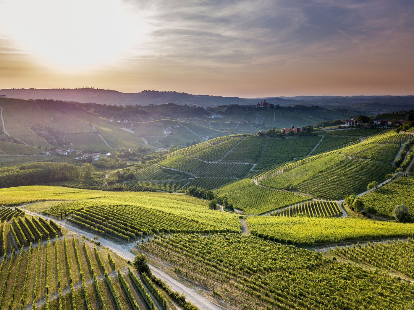 A photo of Barolo Wine Tasting in a Hot Air Balloon 