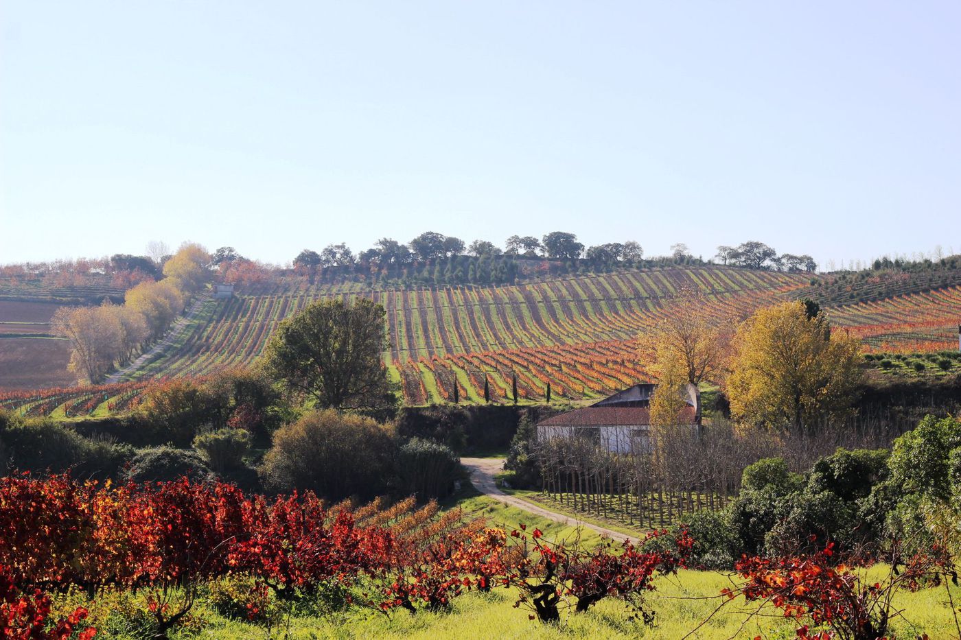 A photo of Tour and Tasting of 3 wines