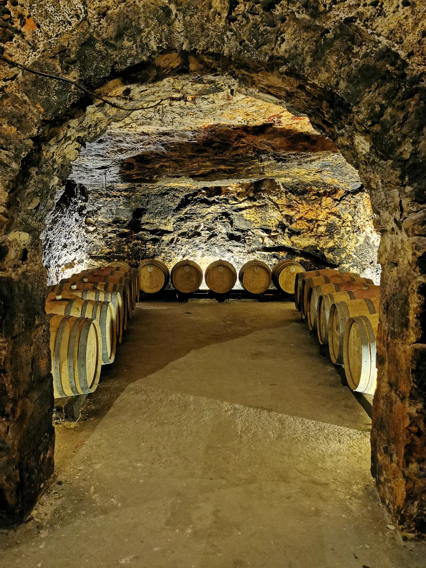 A photo of Full-Day Private Madrid Wineries Tour