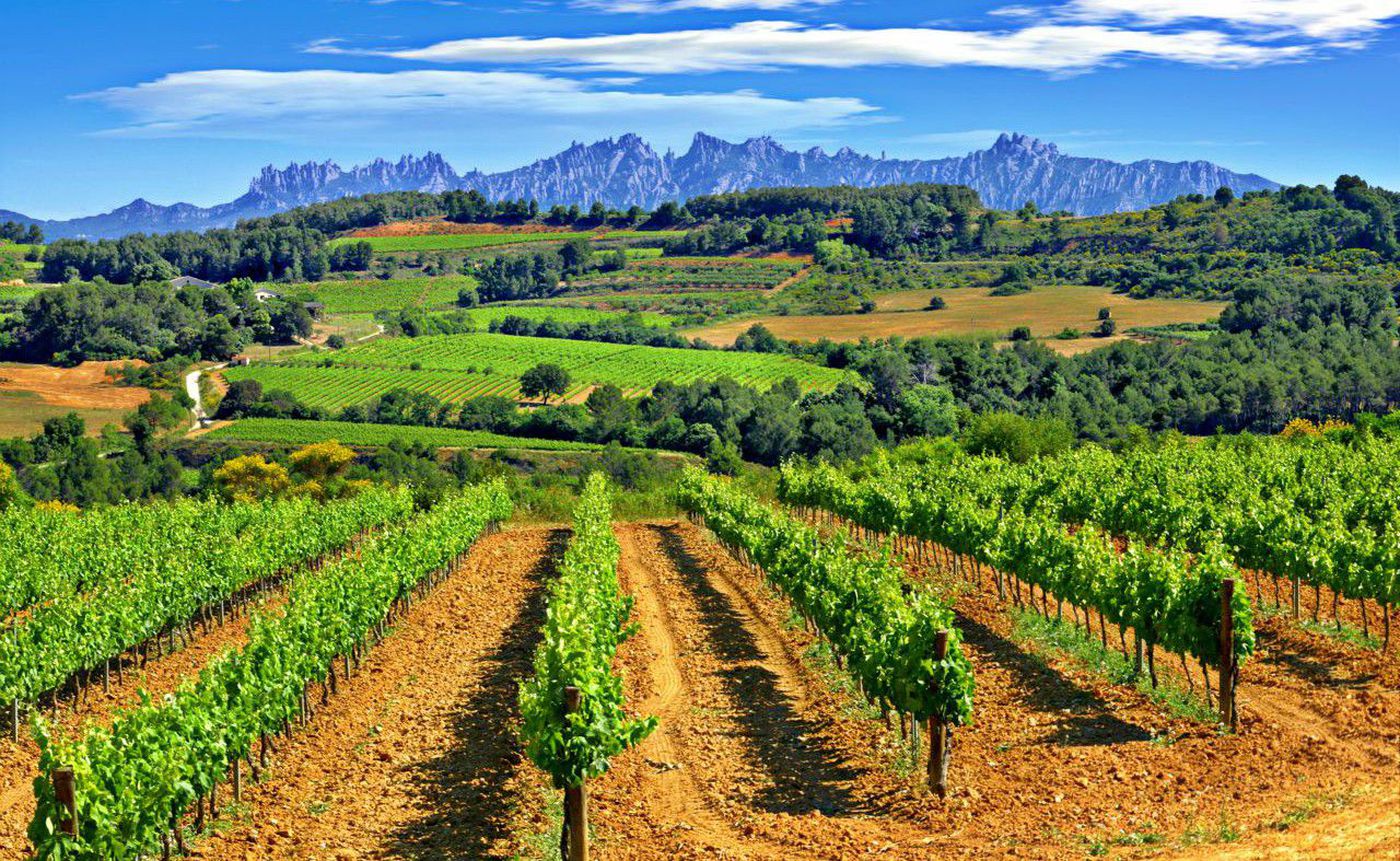 El Penedes winery tour and hike