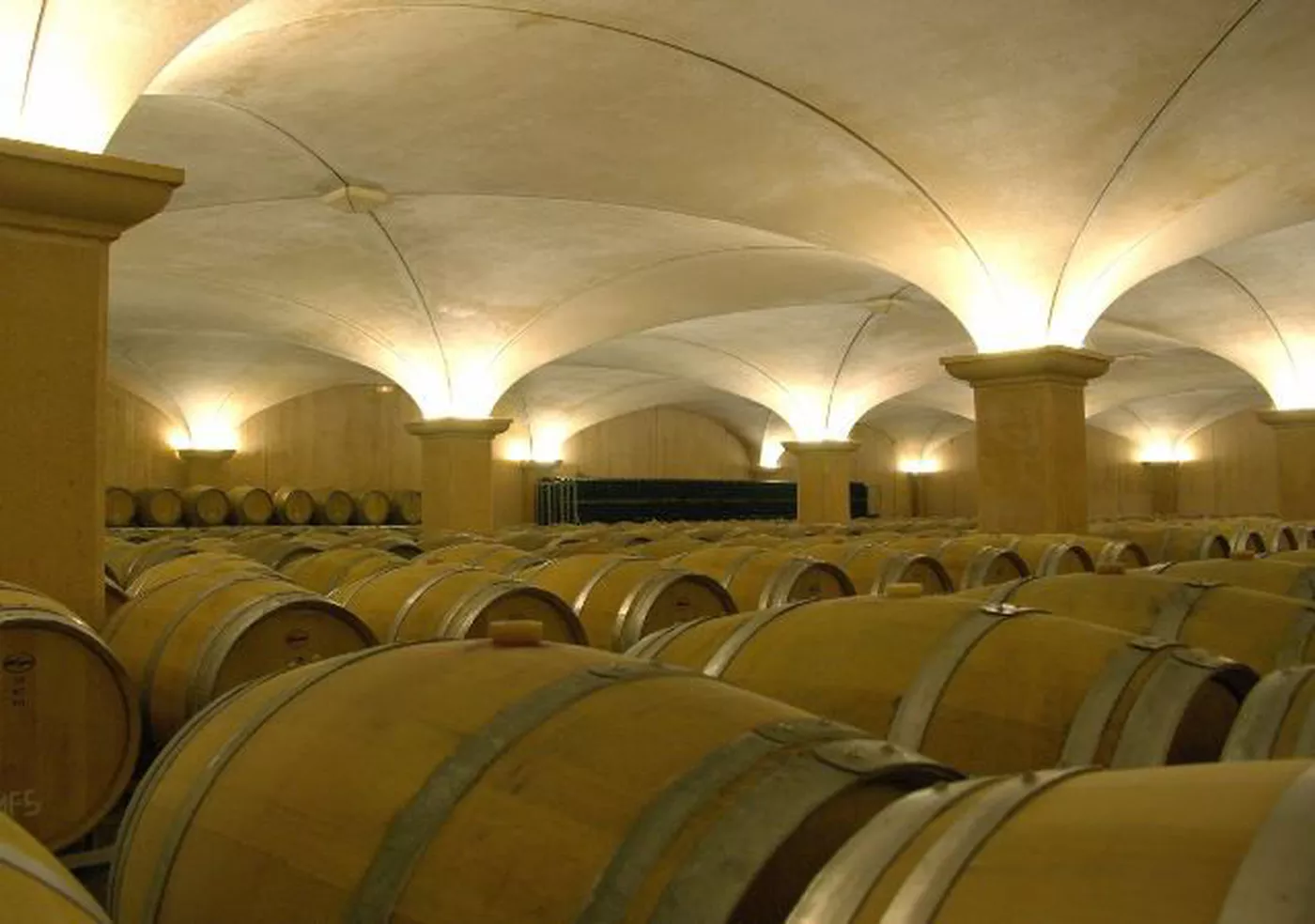 Cava cellar tour El Penedes