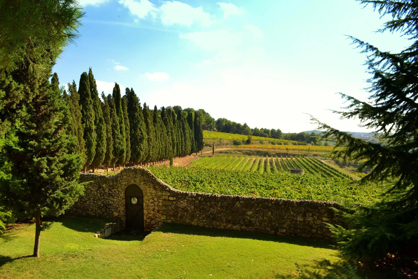 El Penedes wine tasting tour