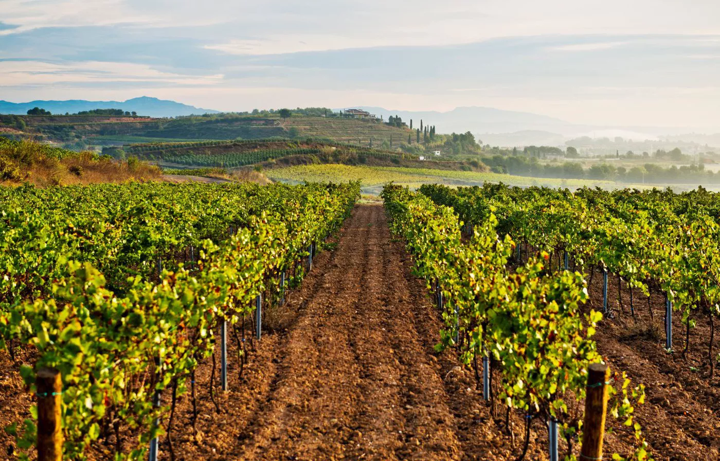 best cava tour barcelona