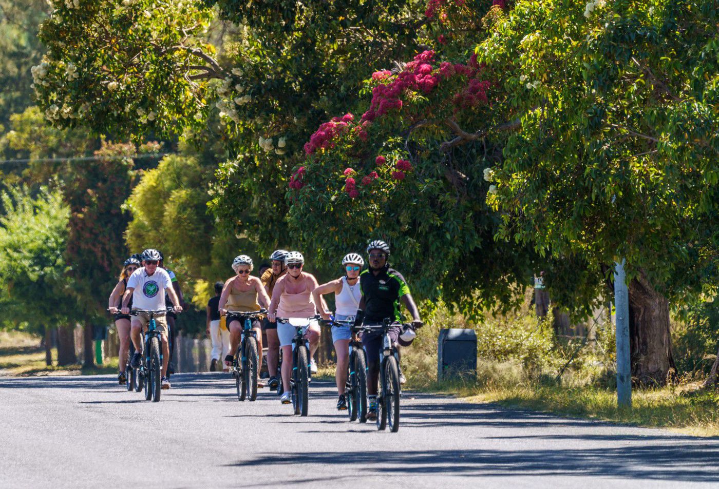 A photo of Luxury Franschhoek Cycle Tour with Tastings and Pairings