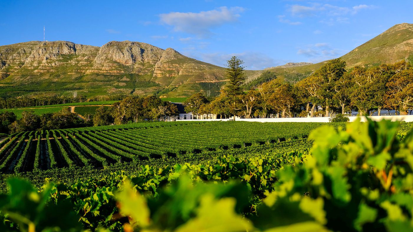 A photo of 5-Day Food, Wine & Natural Wonders of Cape Town