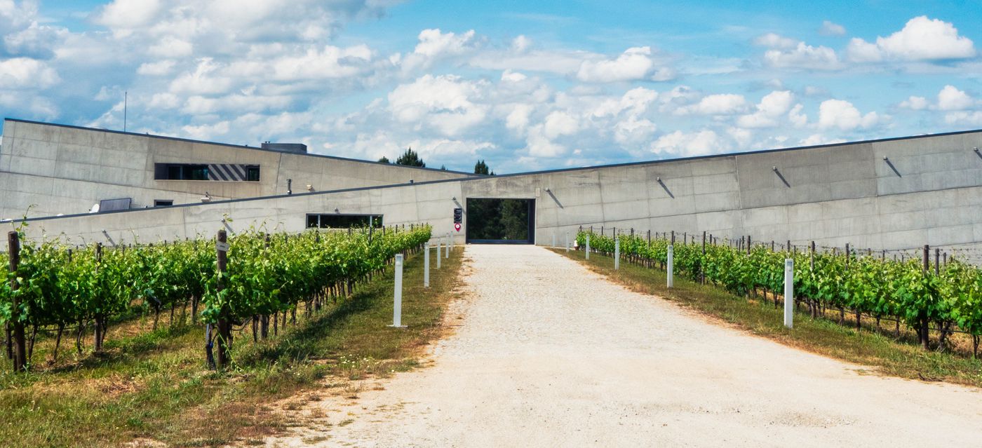 Best wineries in Center of Portugal