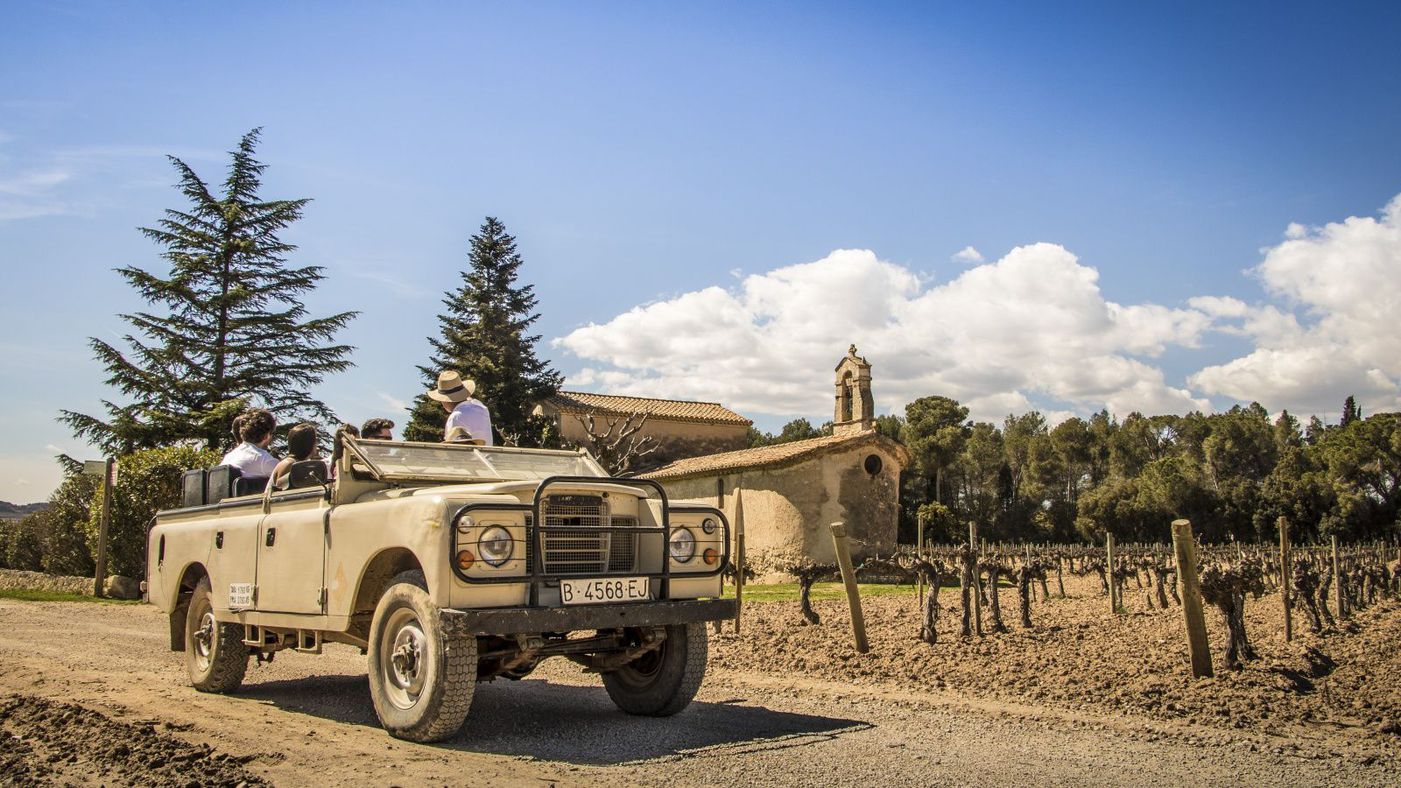 4x4 jeep Cava vineyards