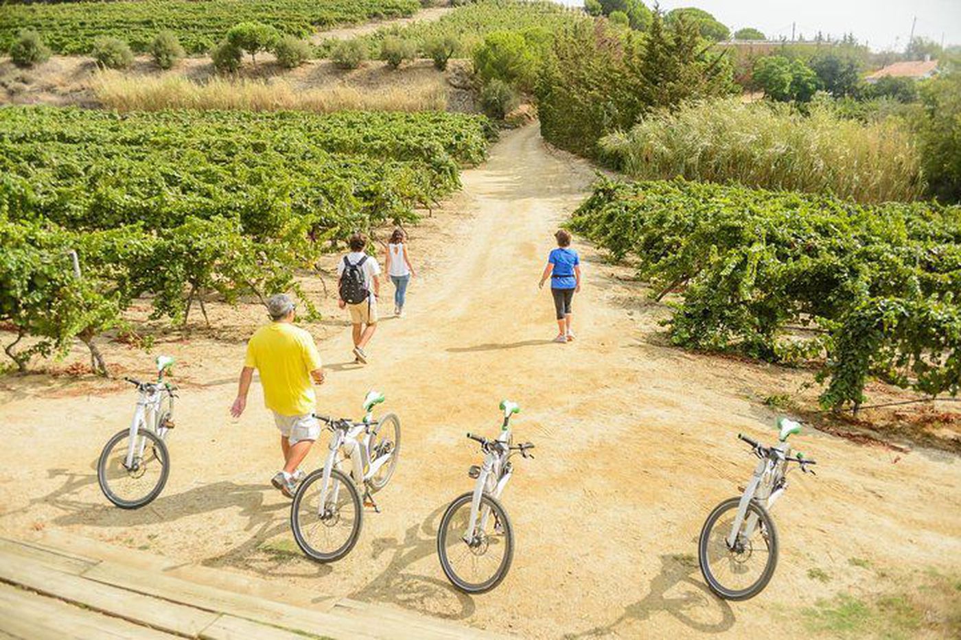 Electric bike wine tour