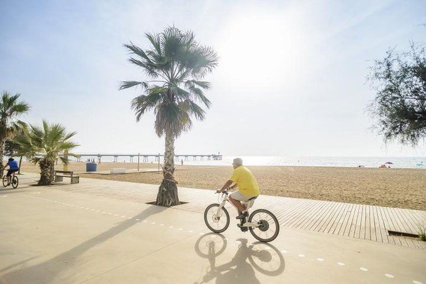 Vineyards and beaches Barcelona