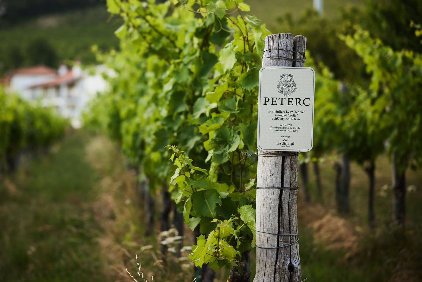 A photo of Peterc Wine