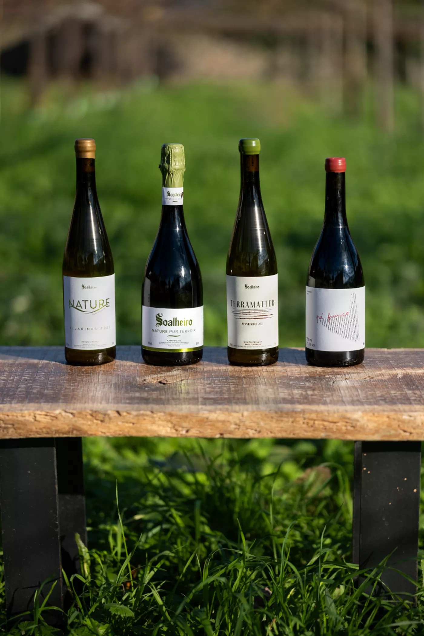 A photo of Organic Wine Tasting Experience
