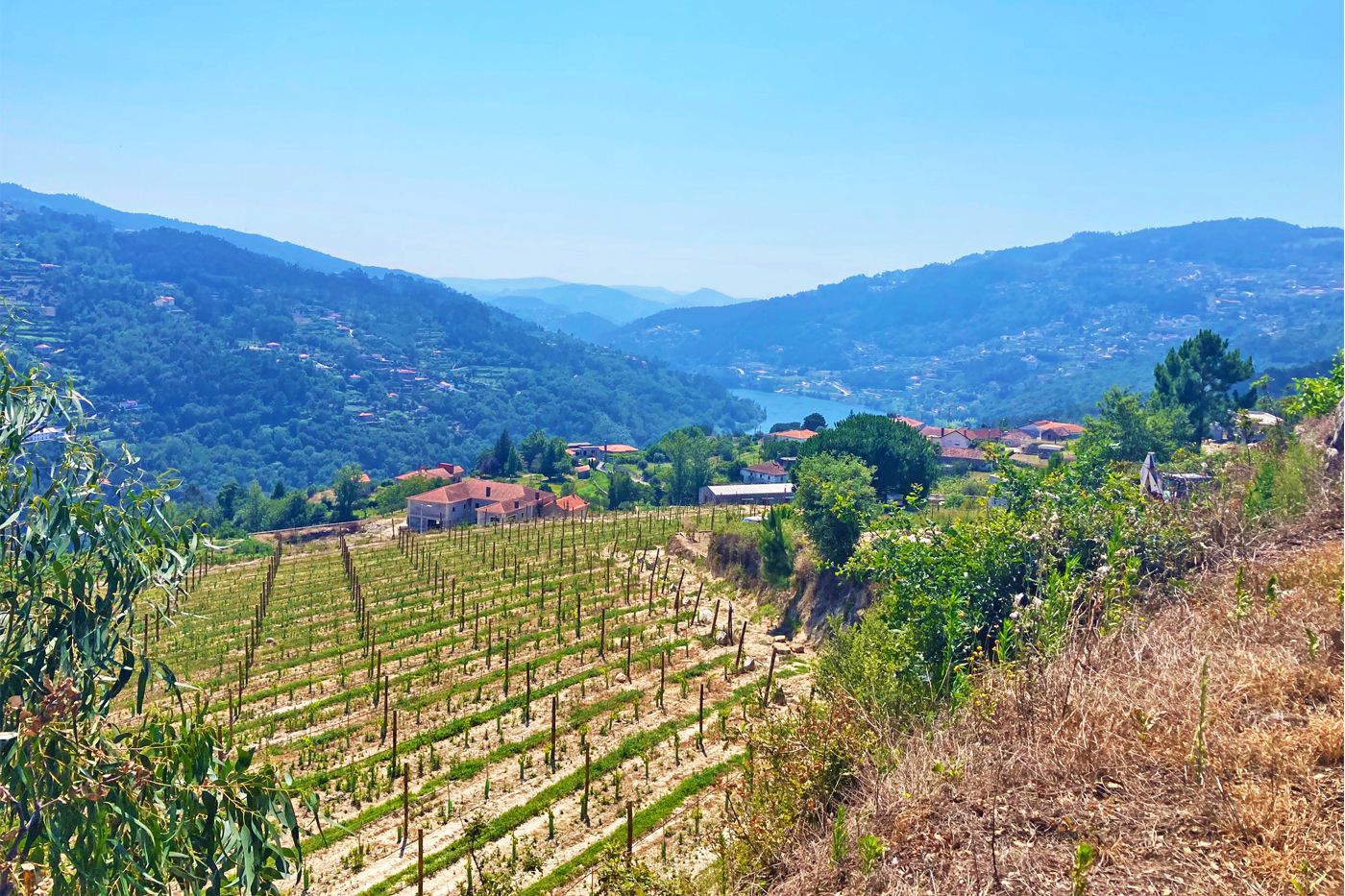 A photo of Exclusive Green Wine Douro Valley Tour