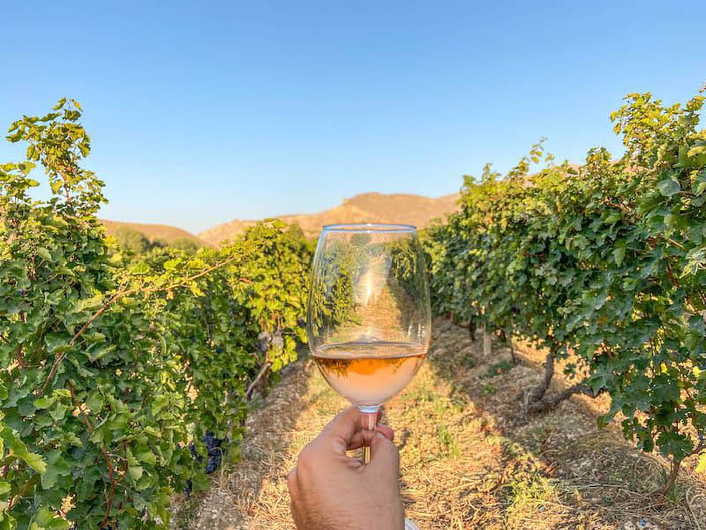 A photo of A 7 days Wine Tour Experience in Armenia