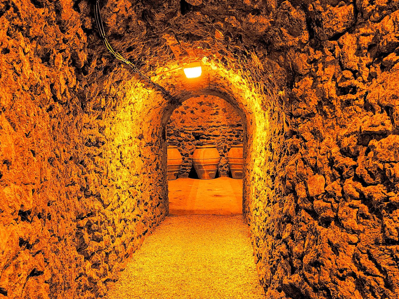 Champagne cellar